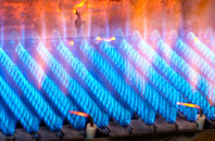 Dalton Parva gas fired boilers